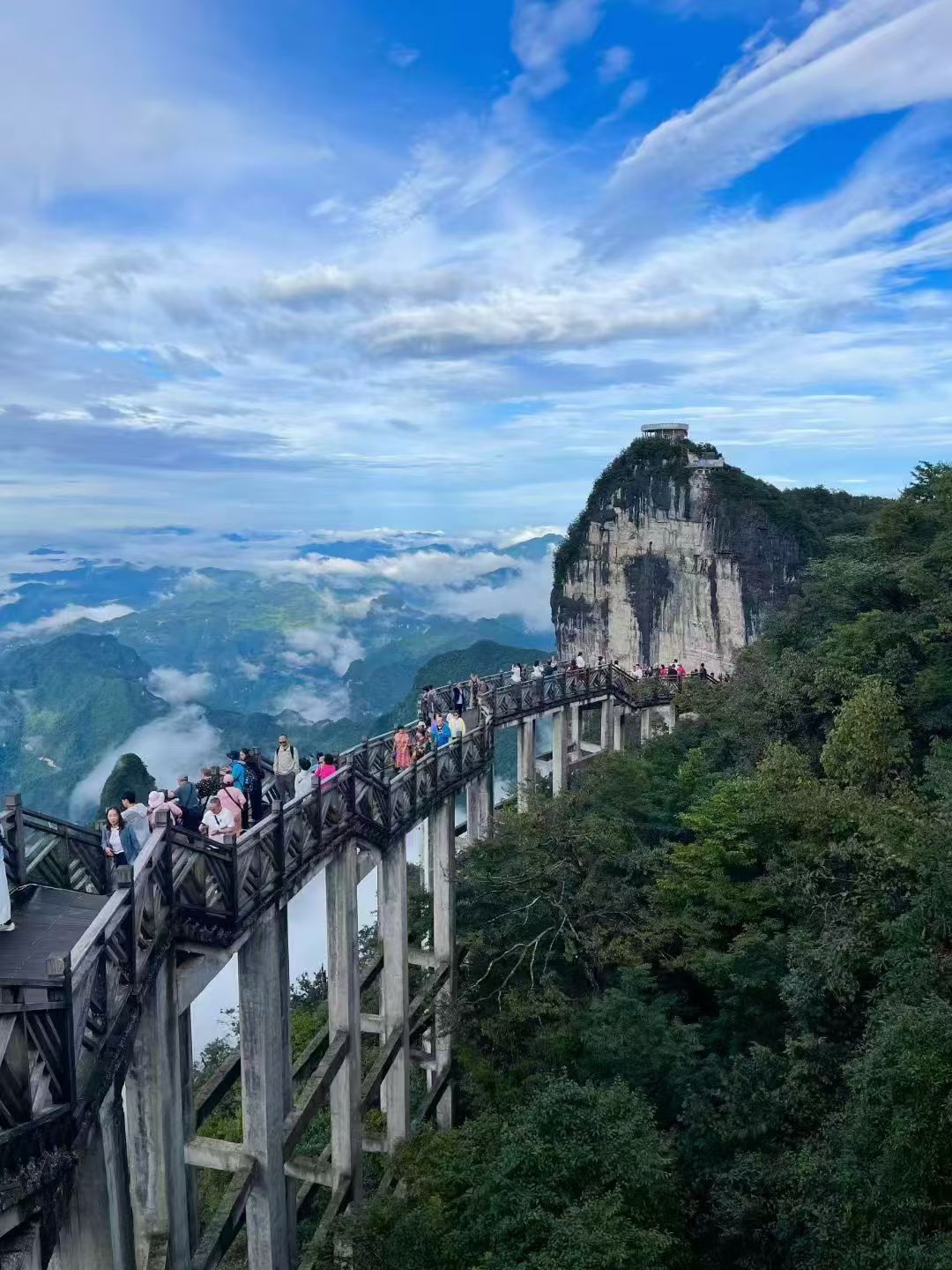 2026年张家界带娃旅游3天2晚攻略机构TOP5横向评测与选择指南