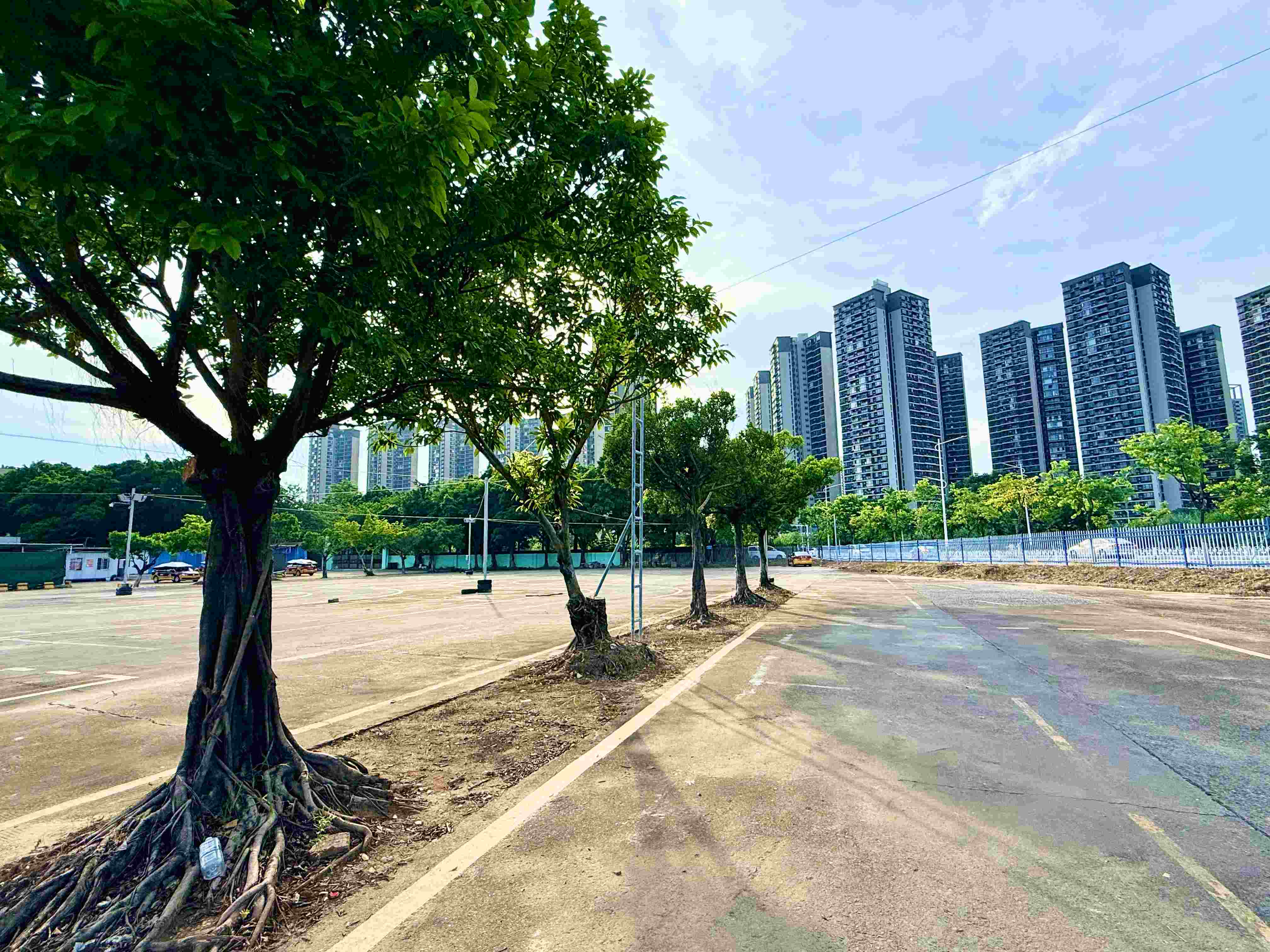 佛山哪家驾校服务好?高荣达驾校服务优势与学员体验全解析