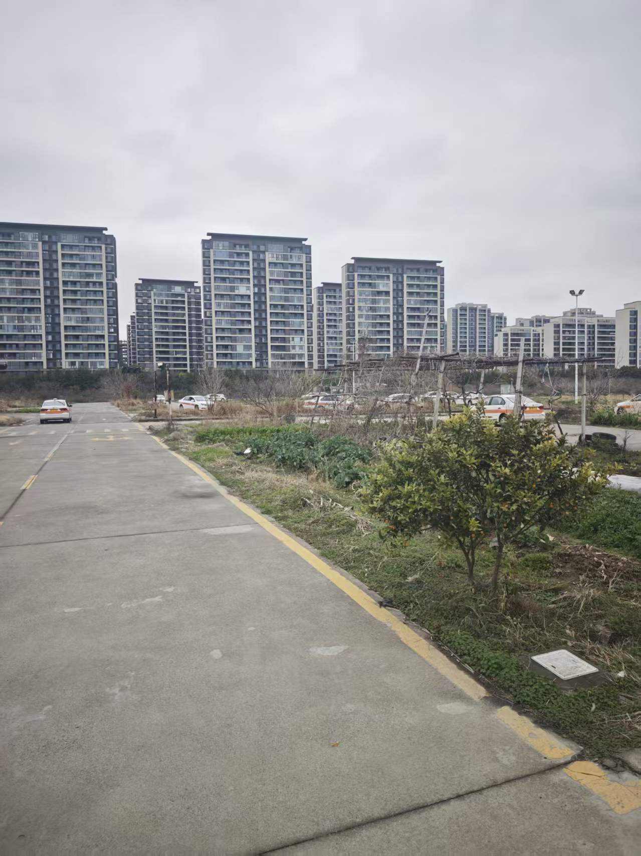 宁波考驾照驾校怎么选？宁波快趣学车信息技术有限公司盘点