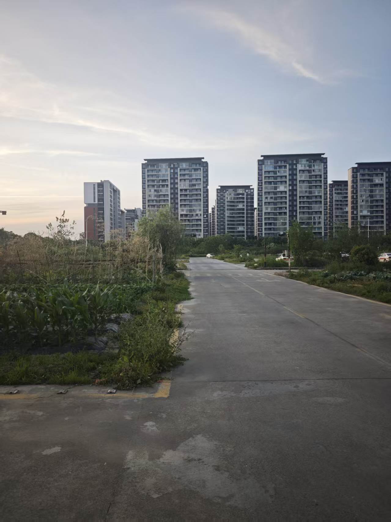 宁波学车驾校怎么选?本地靠谱驾校盘点与快趣学车费用全解析